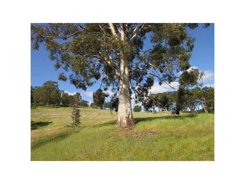 Lot 2 Gallasch Road, Balhannah SA 5242