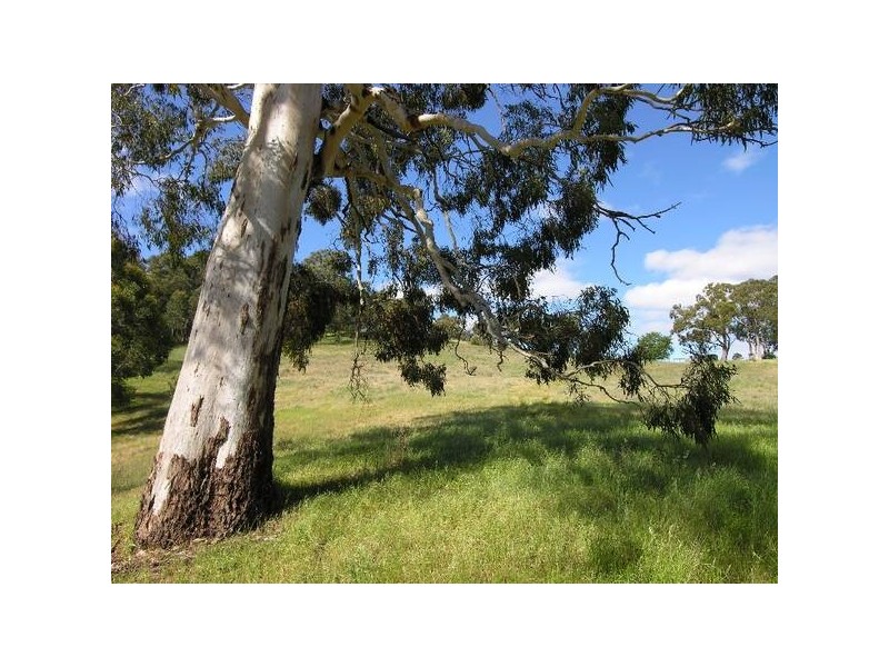 Lot 2 Gallasch Road, Balhannah SA 5242
