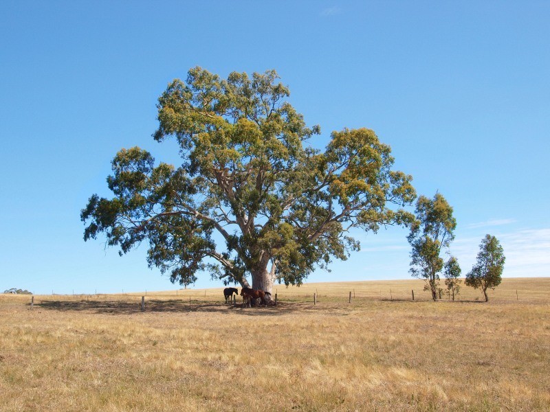 Lot 2 Wenzel Road, Oakbank SA 5243