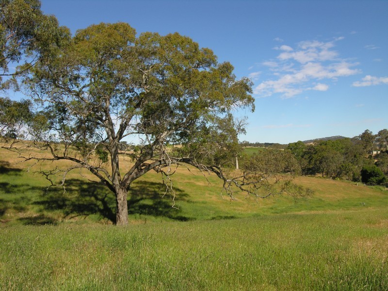 Lot 11 Princes Highway, Nairne SA 5252