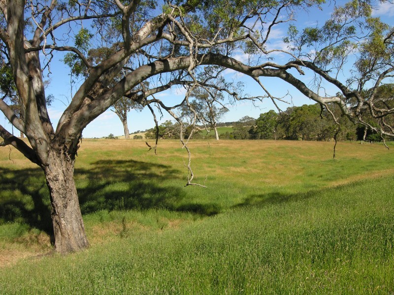 Lot 11 Princes Highway, Nairne SA 5252