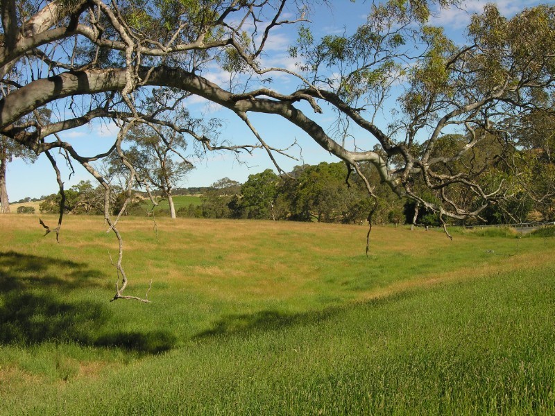 Lot 11 Princes Highway, Nairne SA 5252