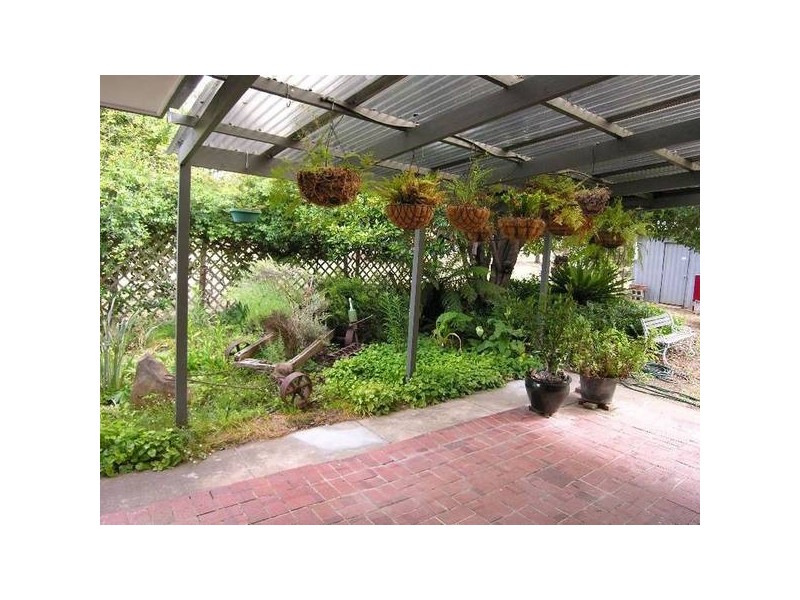 7 Walkom Place, Mount Barker SA 5251