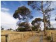 Lot 61 Harrogate Road, Dawesley SA 5252