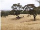 Lot 61 Harrogate Road, Dawesley SA 5252