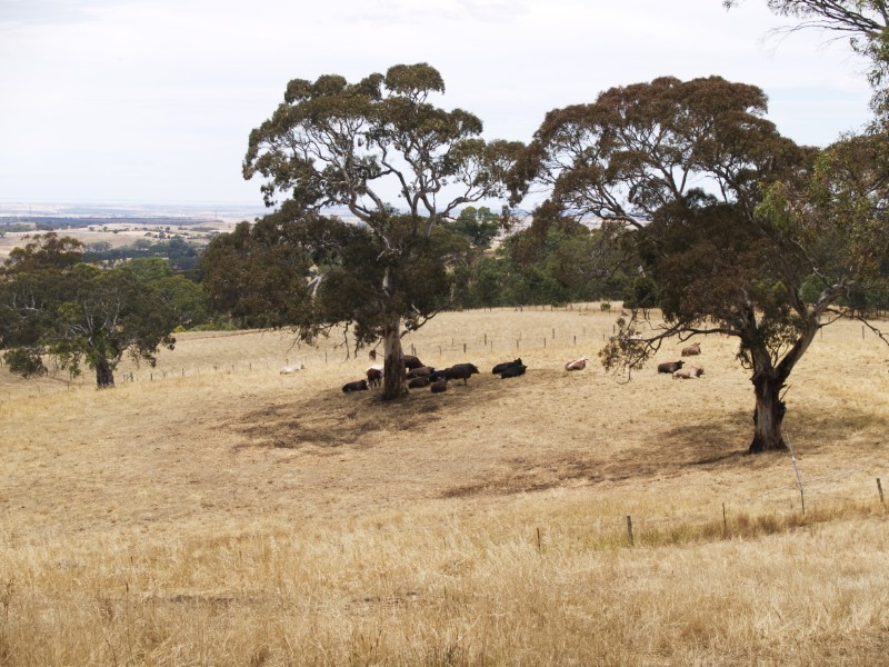 Lot 61 Harrogate Road, Dawesley SA 5252