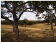 Lot 61 Harrogate Road, Dawesley SA 5252