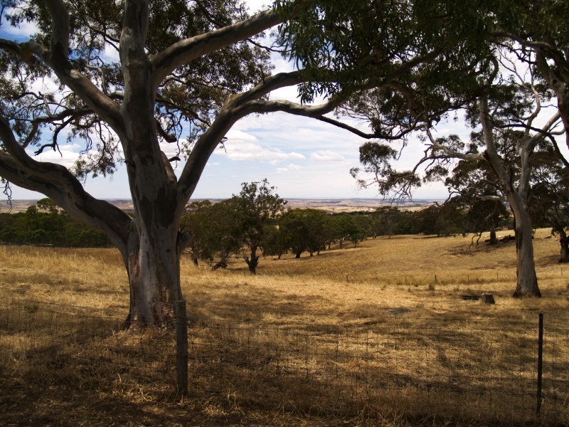 Lot 61 Harrogate Road, Dawesley SA 5252