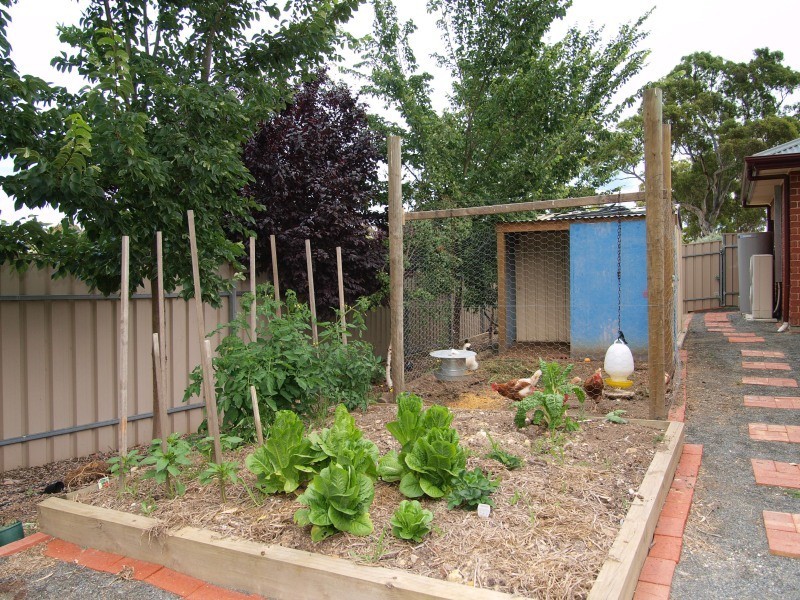 56 Jacaranda Drive, Woodside SA 5244