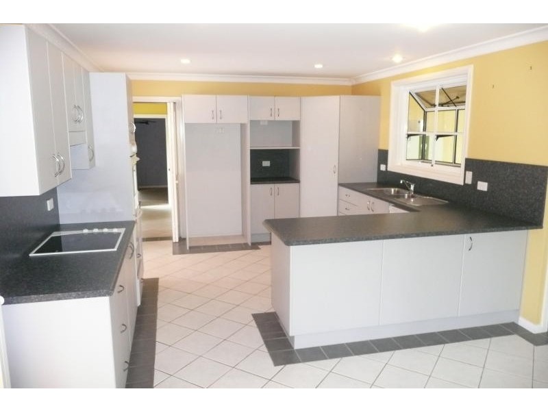 Cedar Party NSW 2429