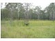 117 Cheers Road, Melinga NSW 2430