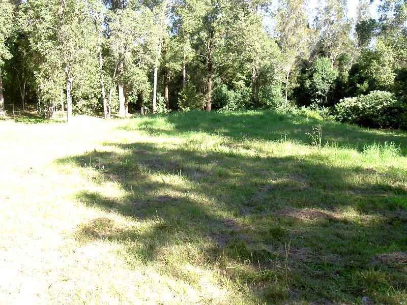 Lot 169 Kolodong Road, Taree NSW 2430