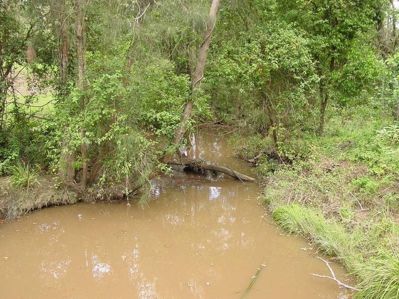 Lot 169 Kolodong Road, Taree NSW 2430