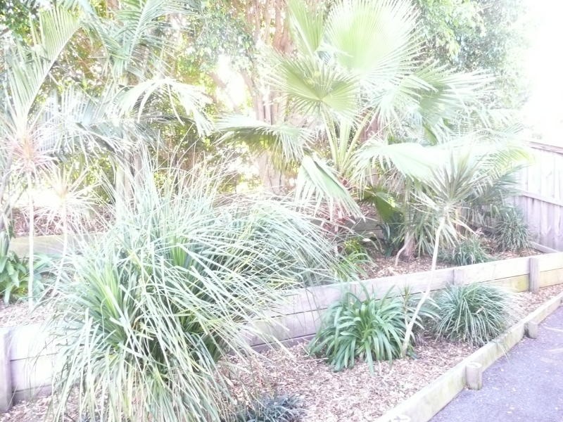 12 Wyoming Close, Taree NSW 2430