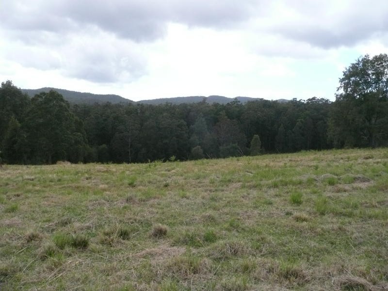 99 Marylands Close, Hillville NSW 2430