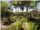 283 Victoria Street, Taree NSW 2430