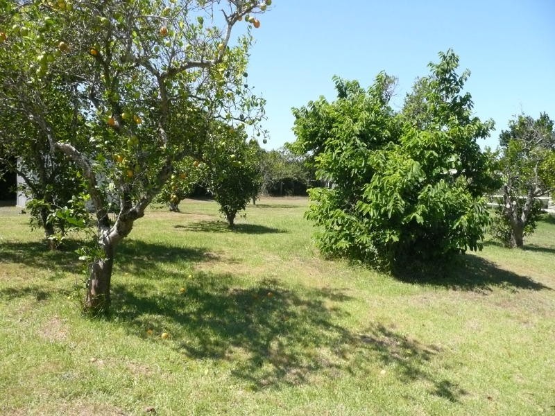 96 River Road, Taree NSW 2430