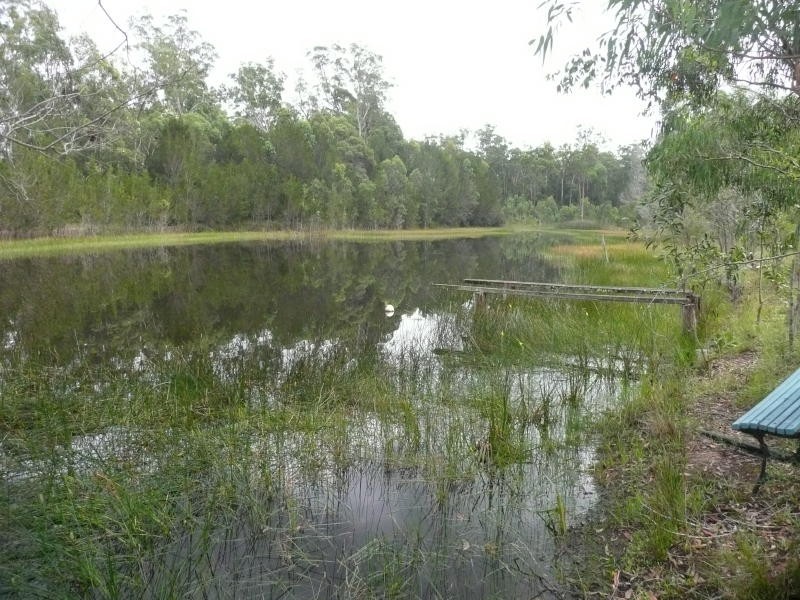 379 Brimbin Road, Cundletown NSW 2430