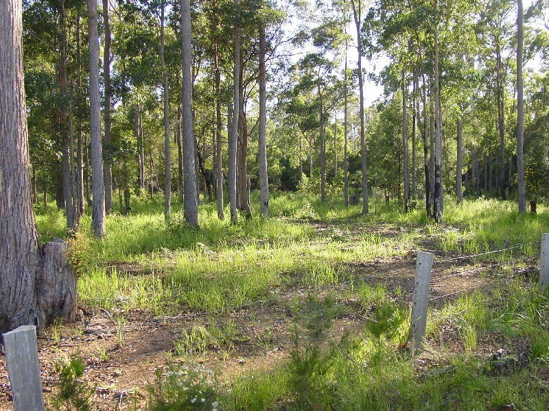 11 Innes Lane, Taree NSW 2430