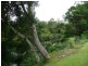 Lansdowne NSW 2430