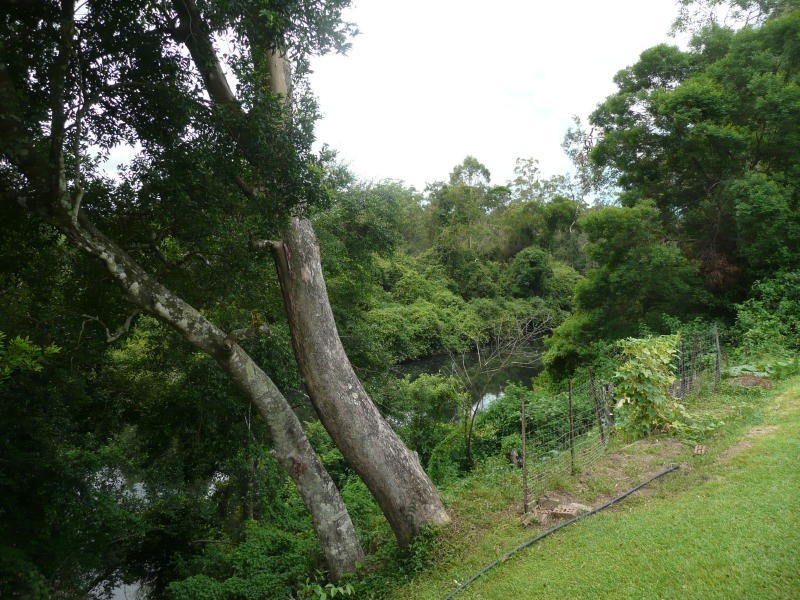Lansdowne NSW 2430