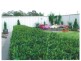 9 Grandis Parade, Taree NSW 2430
