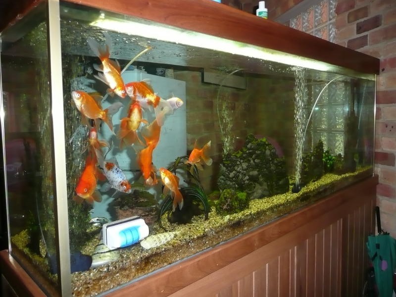 Lot 8, 2 Meadowview Drive, Cundletown NSW 2430