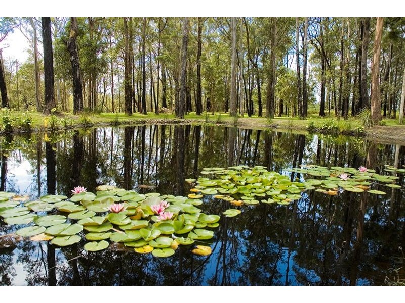 4 Hina Close, Old Bar NSW 2430