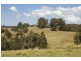 111 Bunyarra Place, Taree NSW 2430