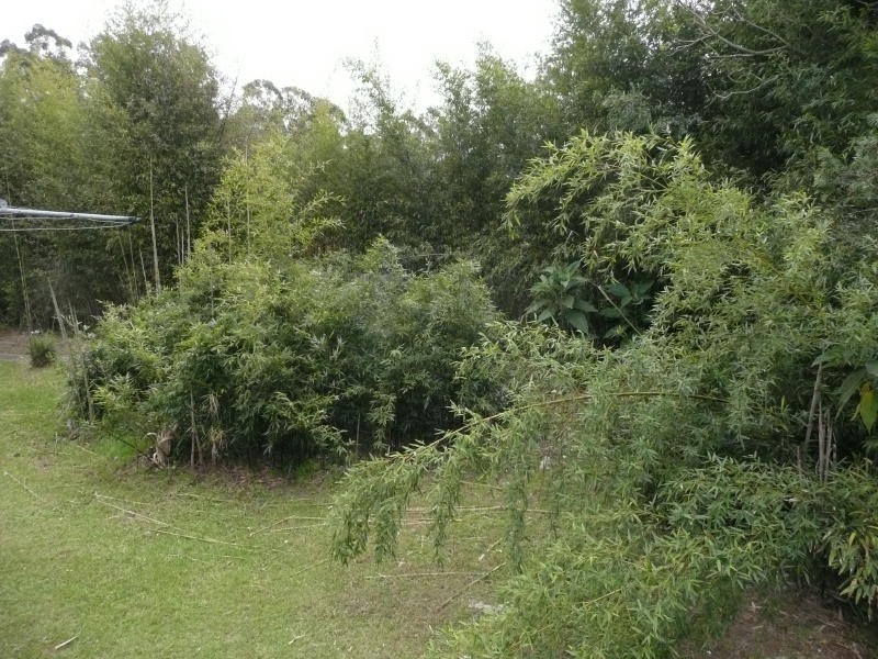 63 Mudford Street, Taree NSW 2430