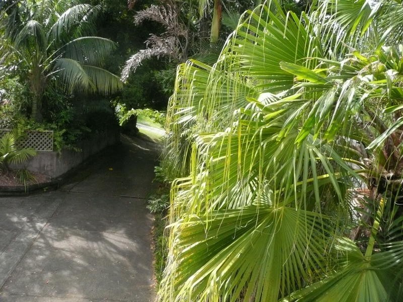 38 Bayview Crescent, Taree NSW 2430