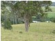 Lot -, 78 Jonela Road, Tinonee NSW 2430