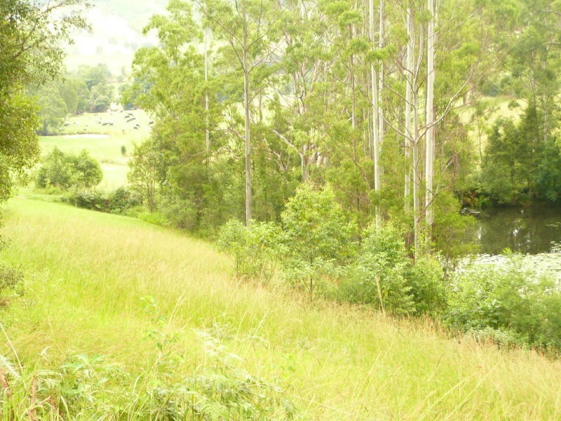 Lot -, 77 Alfred Street, Killabakh NSW 2429
