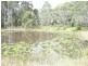 Lot -, 10 Landina Close, Cedar Party NSW 2429