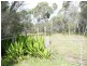 Lot -, 10 Landina Close, Cedar Party NSW 2429