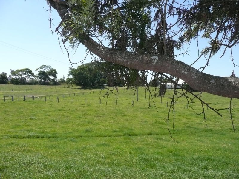 96 River Road, Glenthorne NSW 2430