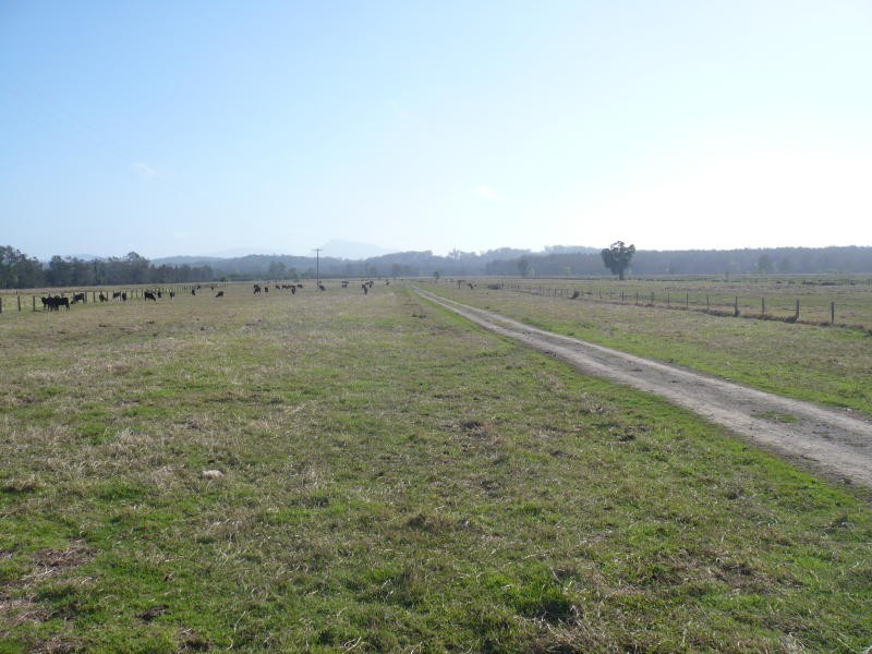 90 Harrington Road, Coopernook NSW 2426