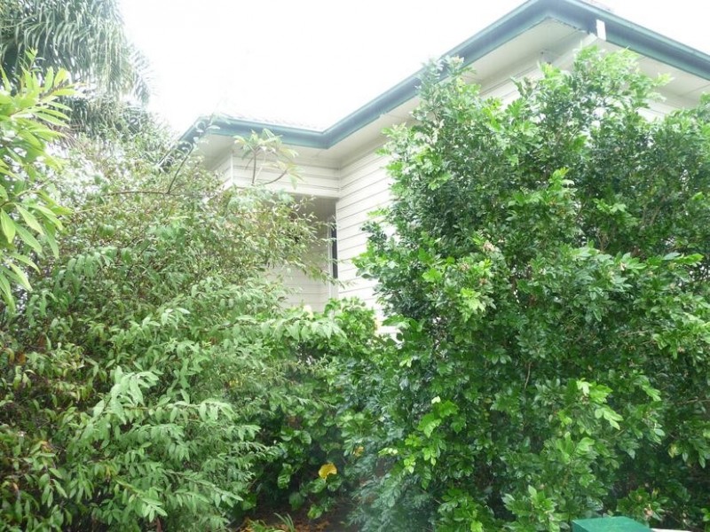 93 Wynter Street, Taree NSW 2430