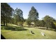 342 Bungay Rd, Wingham NSW 2429