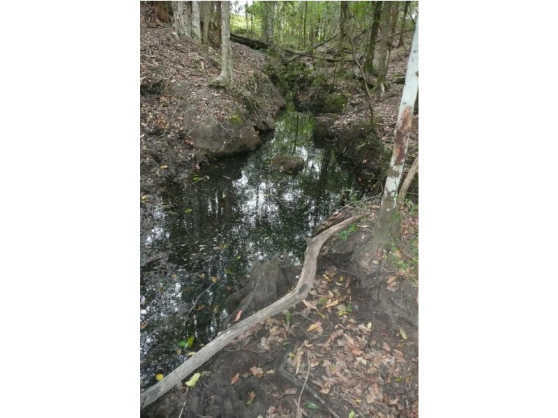 Lot 176 Upper Lansdowne Road, Upper Lansdowne NSW 2430