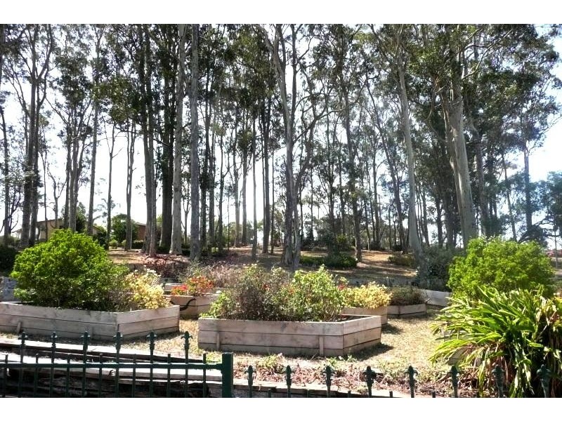 20 Valerie Street, Taree NSW 2430