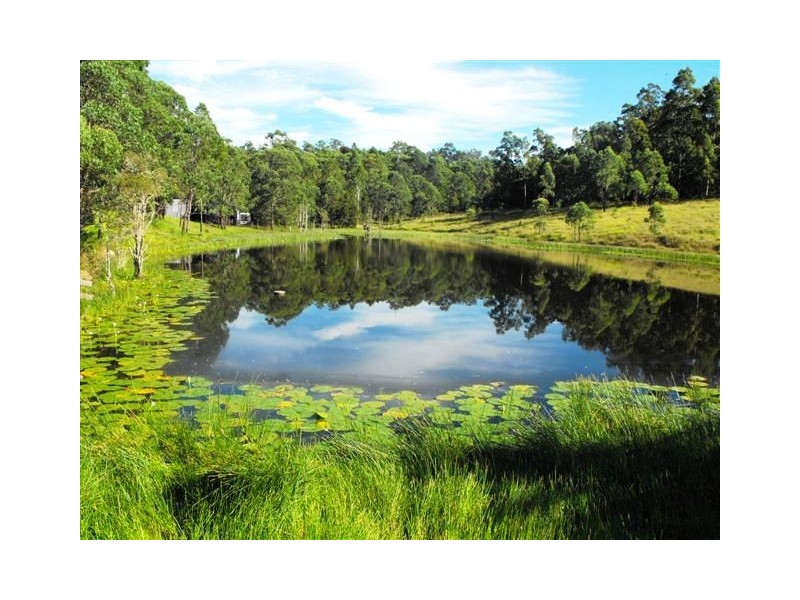 670 Bulga Road, Wingham NSW 2429