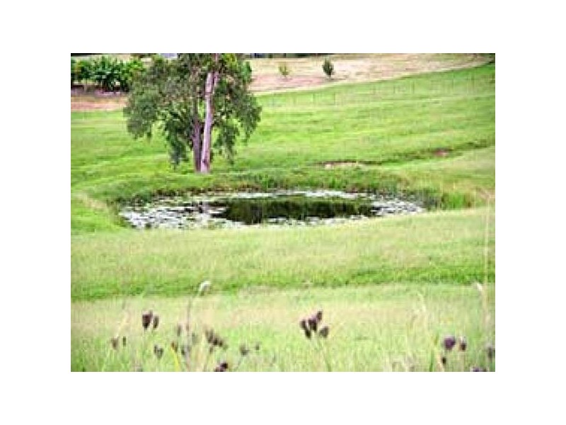 Upper Lansdowne NSW 2430