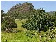 Upper Lansdowne NSW 2430