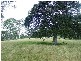Wherrol Flat NSW 2429