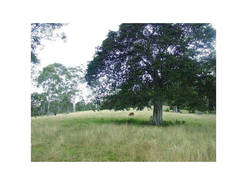 Wherrol Flat NSW 2429