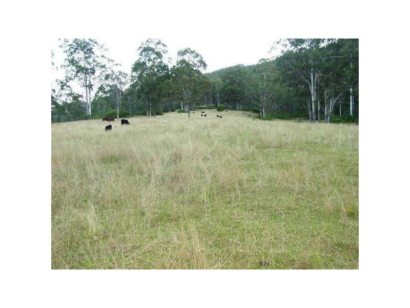 Wherrol Flat NSW 2429