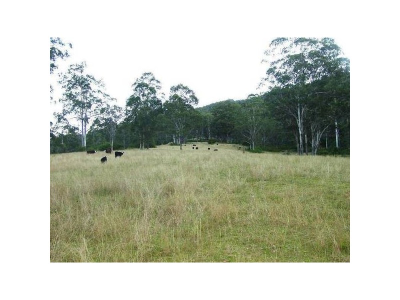 Wherrol Flat NSW 2429