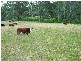 Wherrol Flat NSW 2429