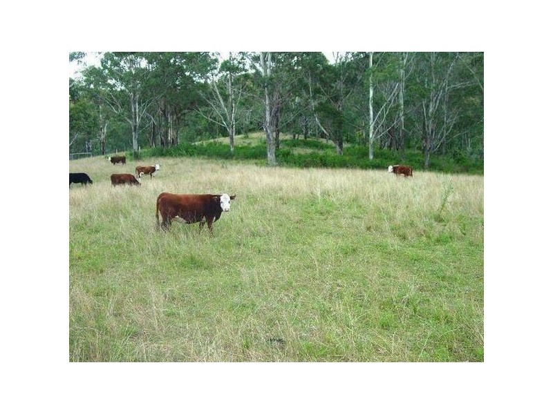 Wherrol Flat NSW 2429